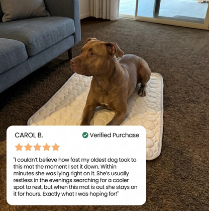 CoolPaw™ Cooling Mat for Pets