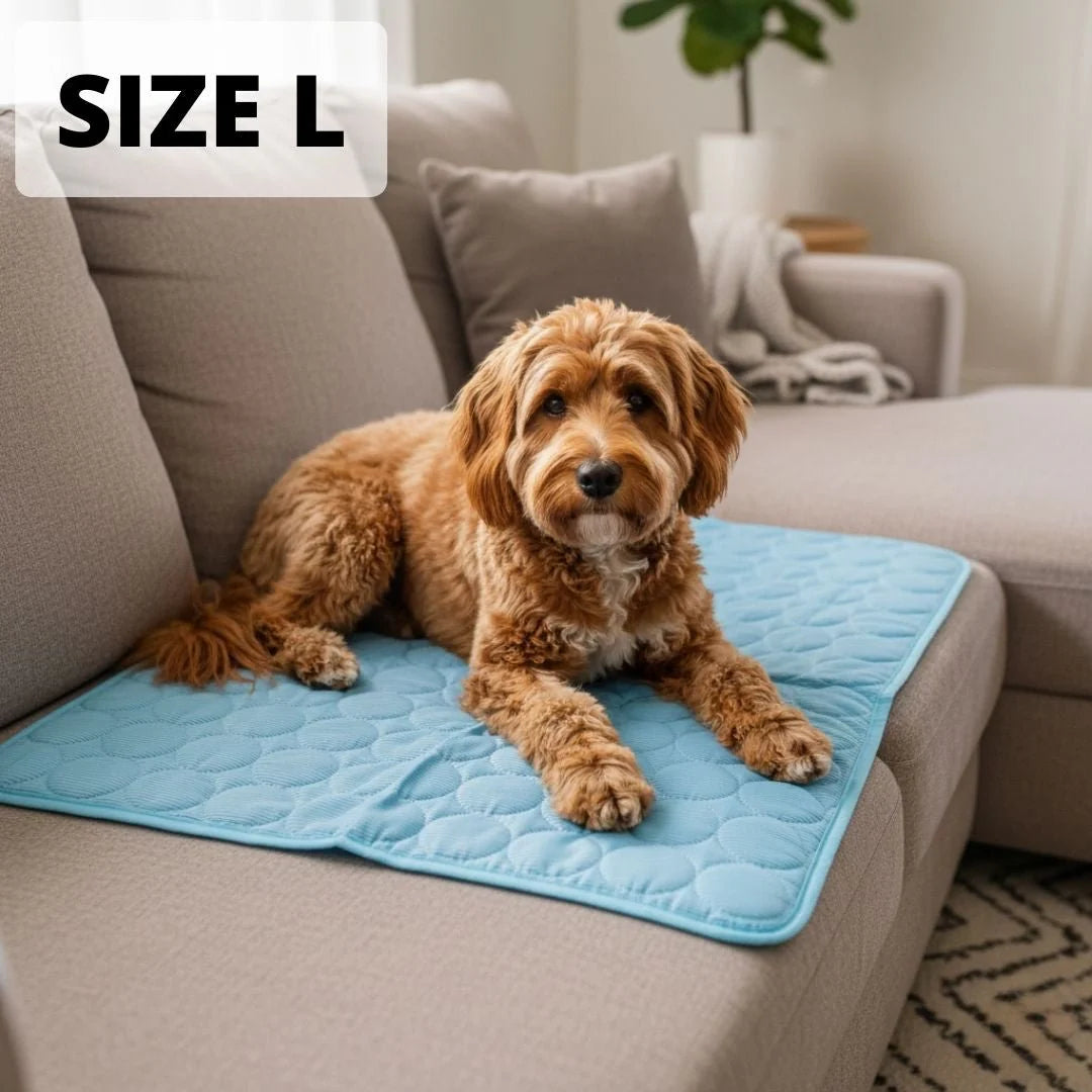 CoolPaw™ Cooling Mat for Pets