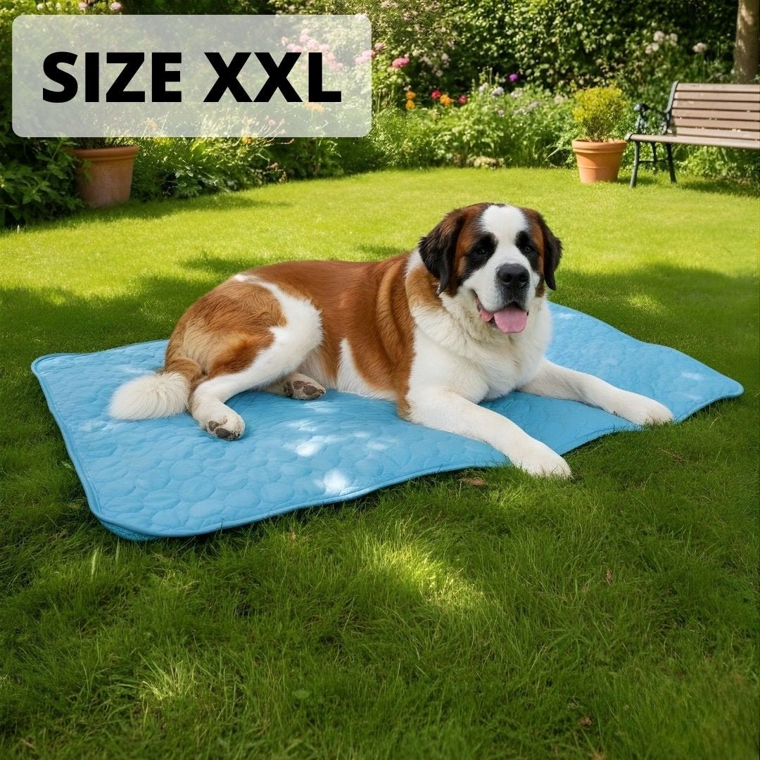 CoolPaw™ Cooling Mat for Pets
